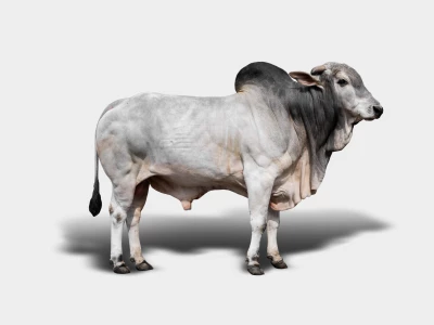 abfebb03-e2fb-4a6c-8347-c7a279e8ebfd