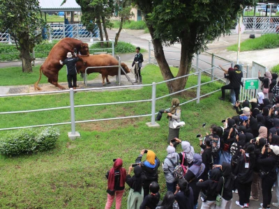 Wisata Pendidikan