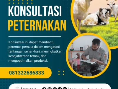 Konsultasi Peternakan