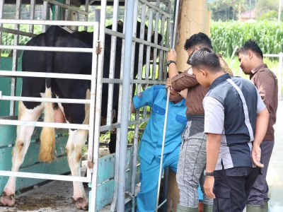 Narasumber, Instruktur, Juri Kontes